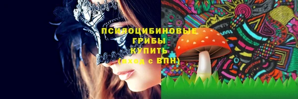 твердый Зерноград