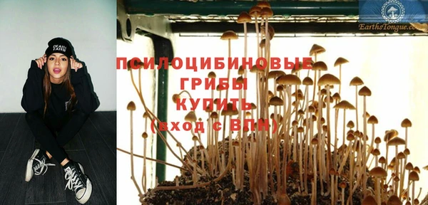 mdpv Зеленодольск