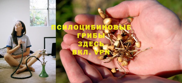 твердый Зерноград
